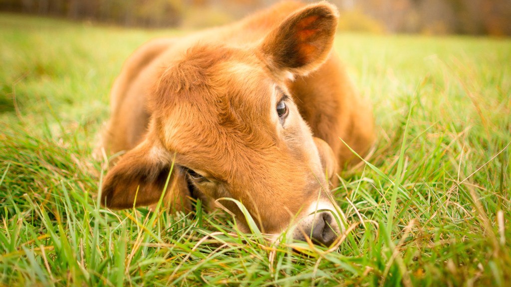 Bayram Mesajı: Gel Barışalım Bu&nbsp;Bayram