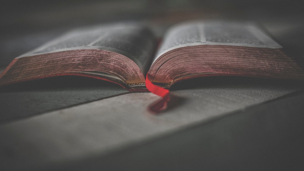 Geçmişe Dönüş-7